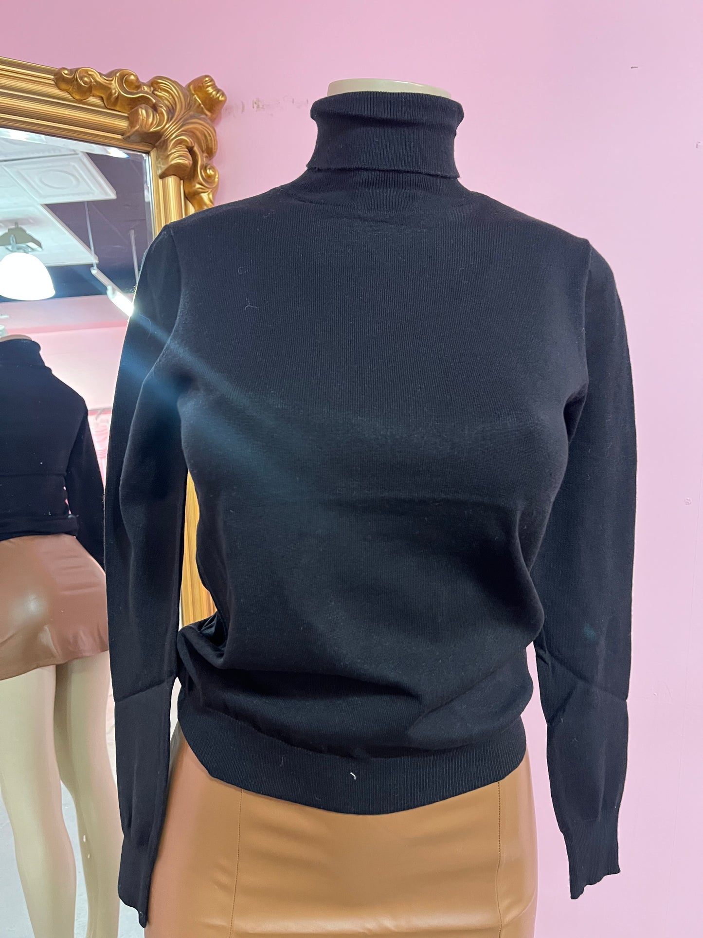 Aura Turtleneck Top