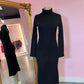 Christy Turtle Neck Dress
