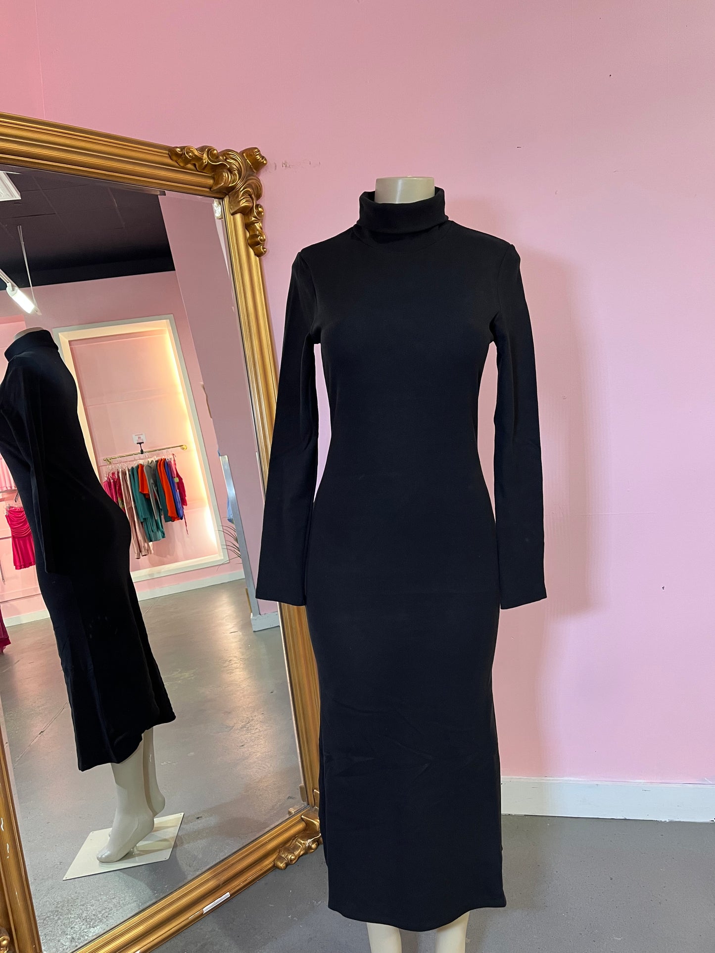 Christy Turtle Neck Dress