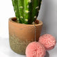 Puff Ball Earings