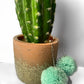 Puff Ball Earings