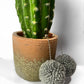 Puff Ball Earings