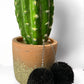 Puff Ball Earings